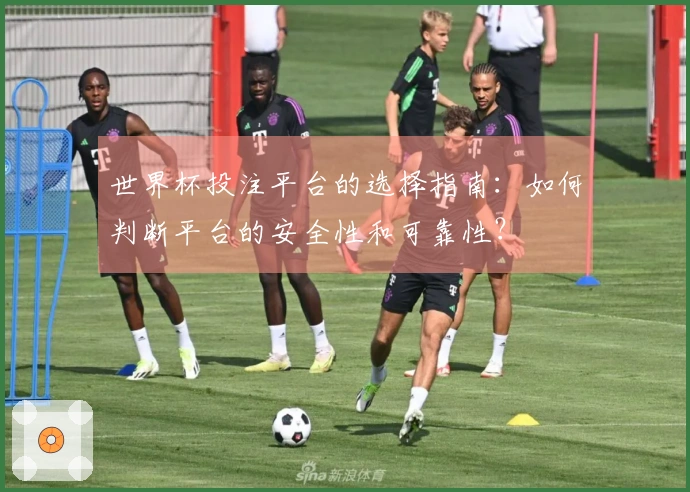世界杯投注平台的选择指南：如何判断平台的安全性和可靠性？